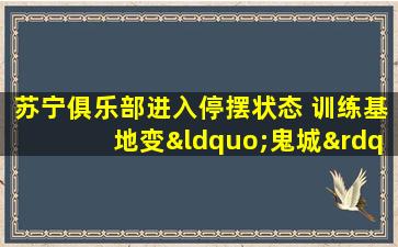 苏宁俱乐部进入停摆状态 训练基地变“鬼城”